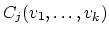 $C_j(v_1,\ldots,v_k)$